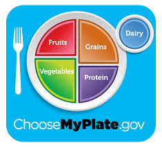 choose my plate choose my plate